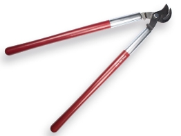 Afbeelding voor categorie Takkenscharen